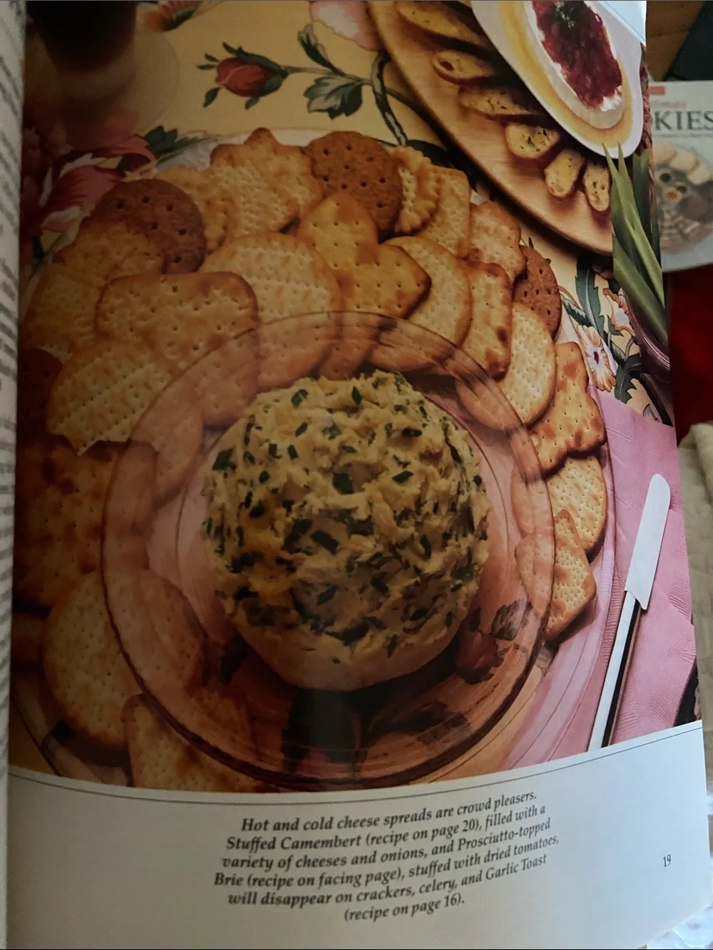 90s 1990s Appetizers Appetizer Cookbook party sides snack tray trays snacks side
